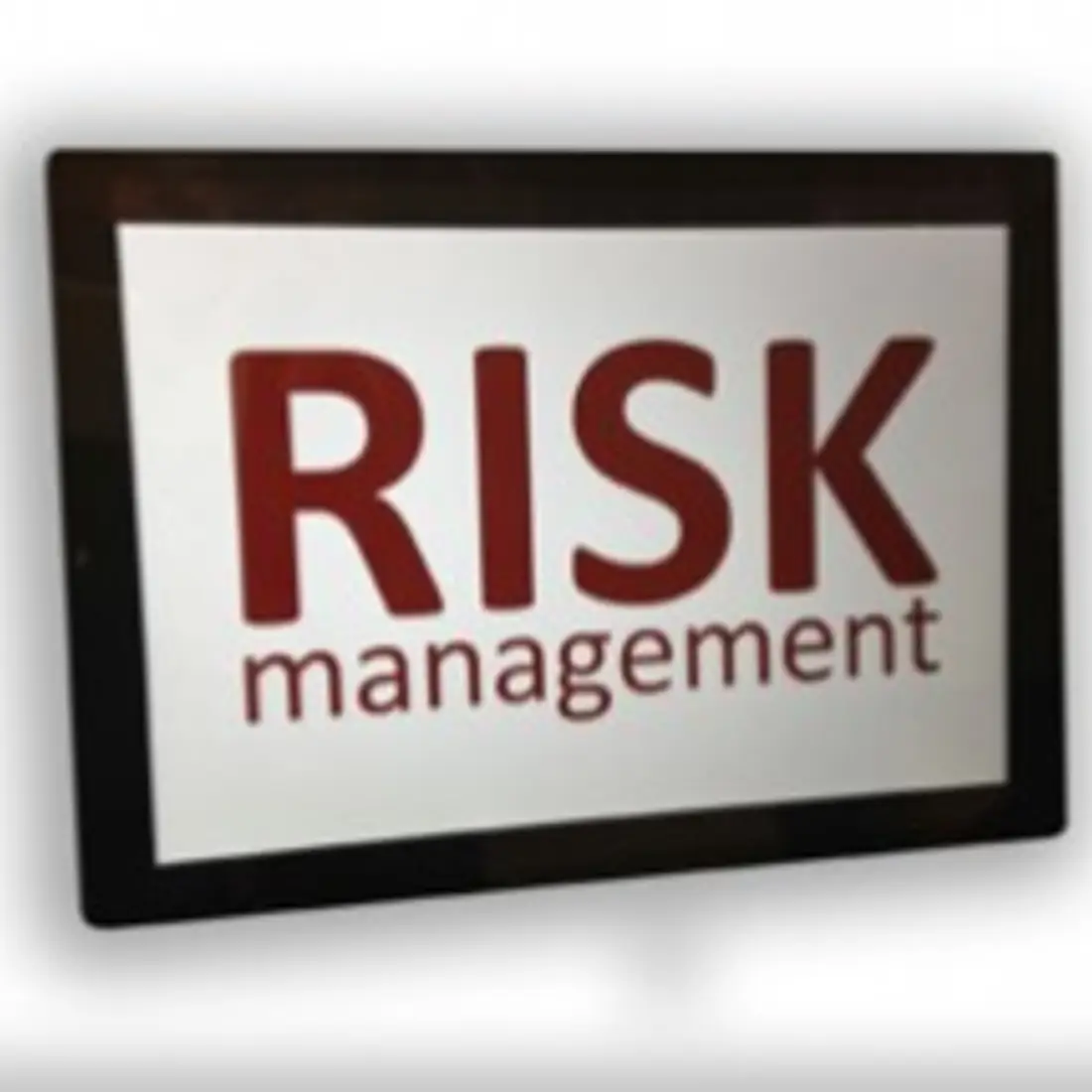 Riskmanagement online 0