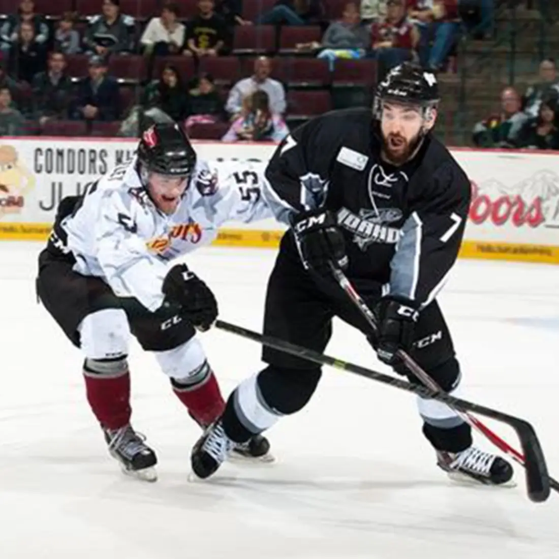 Purchase your ticket for CWI Night at the Idaho Steelheads Friday, Feb. 22.