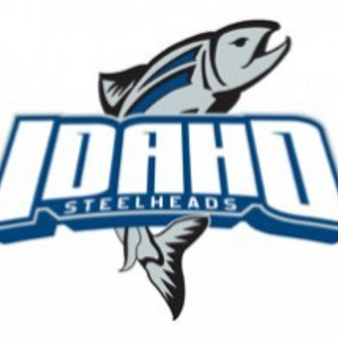 Steelheads online 0