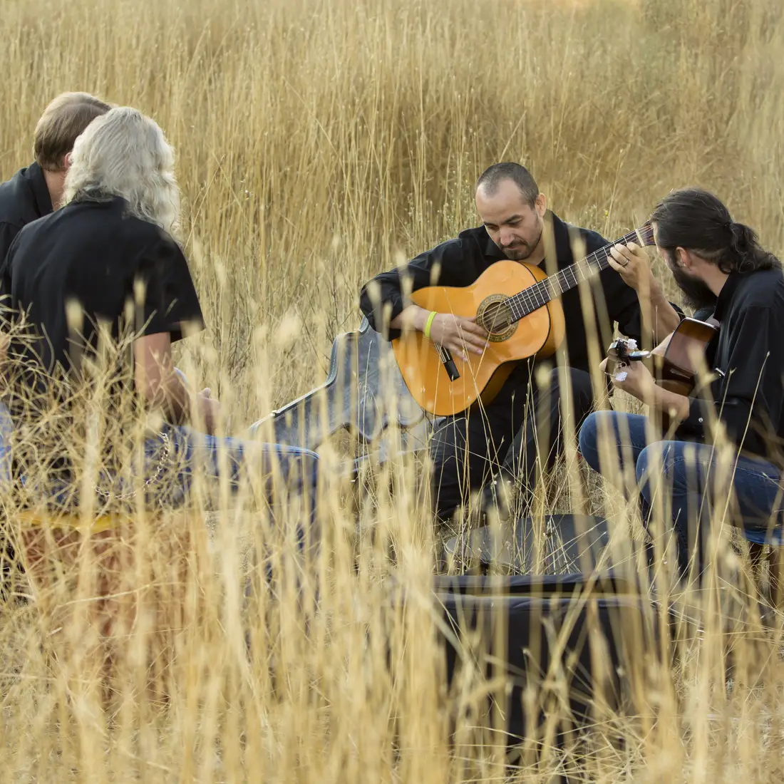 College of Western Idaho welcomes the Shimi Tree Performance Group. 