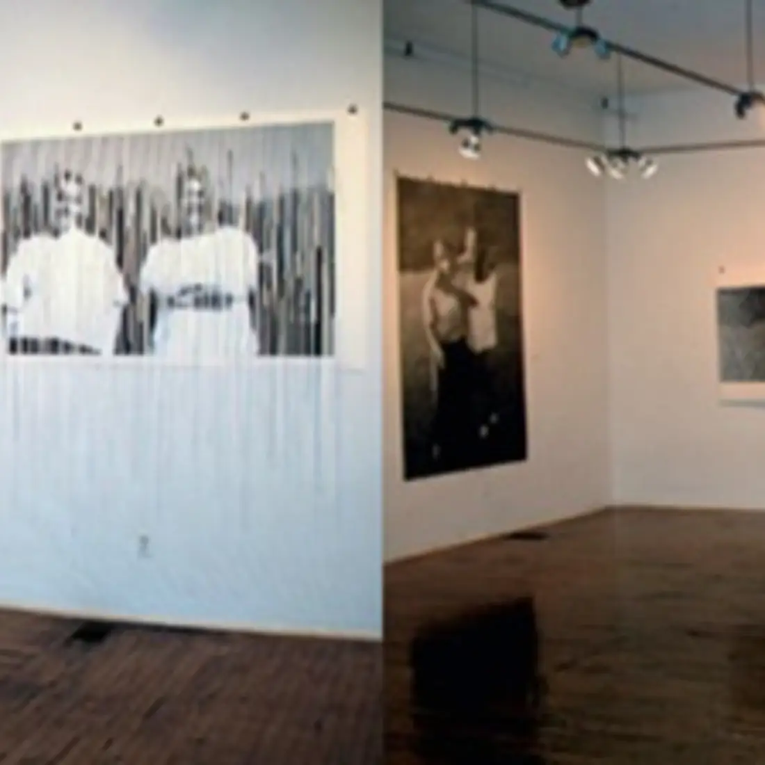 Traci Molloy’s White Dandelions installation.