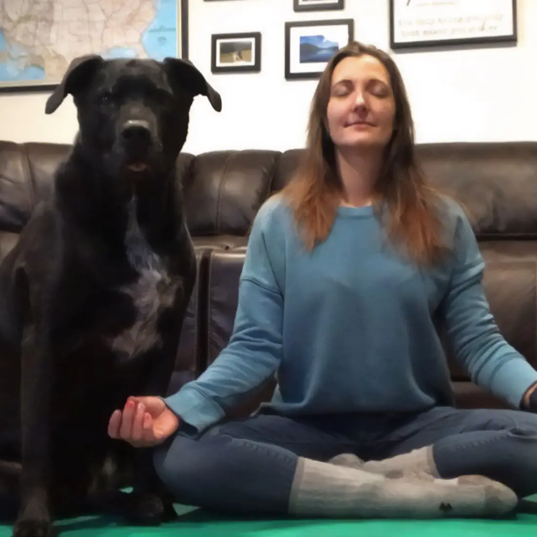 CWI employee next to their dog practicing yoga