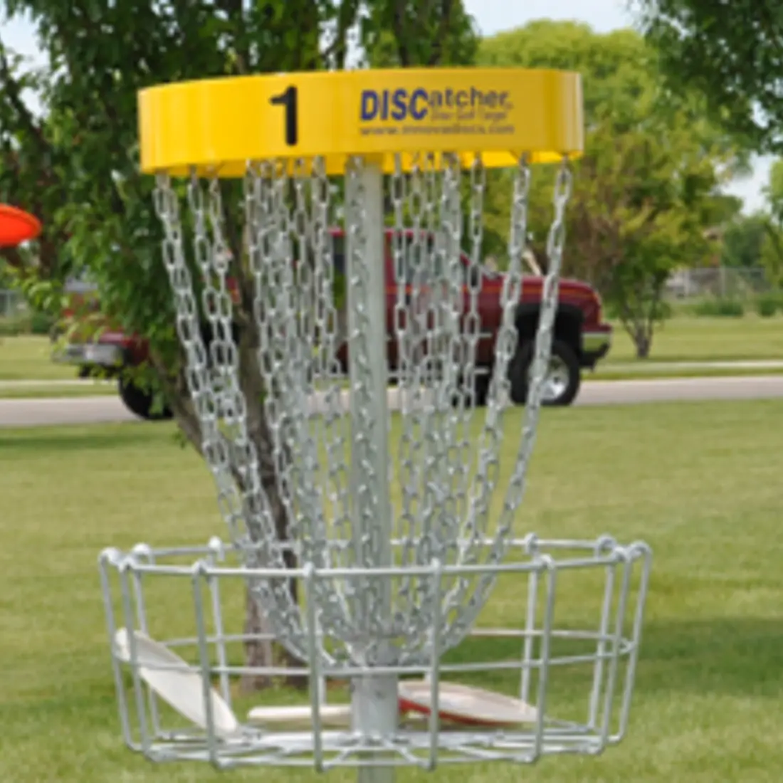 Newsroom image discgolf