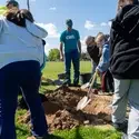 Adults and children dig hole