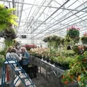 People roaming around the Greenhouse