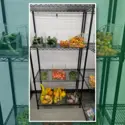 Fresh produce in the Food Pantry