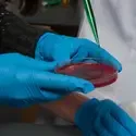 Biology 0519