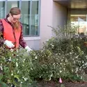 Horticulture students help to maintain the College’s Native Plant Garden.