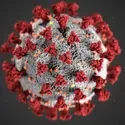 CWI is actively monitoring information regarding Coronavirus Disease (COVID-19); we are committed to keeping our campus communit