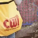 The Anthropology Club’s Petroglyph Recording Project is complete and available to view.  