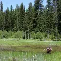 Biology 2:  Experiential Learning in McCall