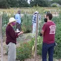 Individuals in the campus garden