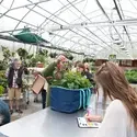 People buying plants at a greenhouse