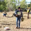Student planting at Restoration Week