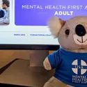 Stuffed koala by a computer screen with Mental Health First Aid training pulled up