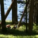 Students in forest close to lake