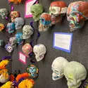 Spanish Class Celebrates Día de los Muertos