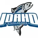Steelheads online