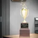 Win this trophy!