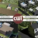 Virtual images of CWI buildings
