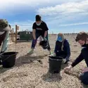 students working in the Campus Garden