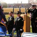 Newsletter feature photo veterans day