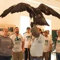 Students observing a golden eagle