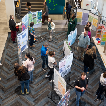 People listen to presentations and read posters in a common area.