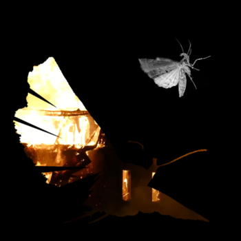 An artistic mixed media print