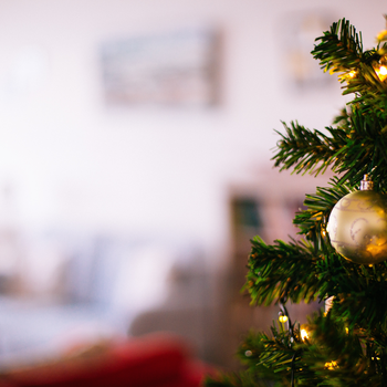 Christmas tree with ornament