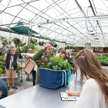 People buying plants at a greenhouse
