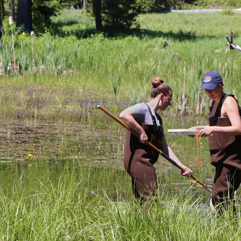 Two students in waders collect environmental samples from a pond in a forest.