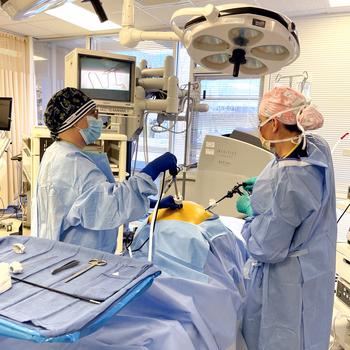 Surgical First Assistants work in a hospital setting