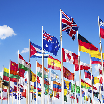 Headshot of International Services