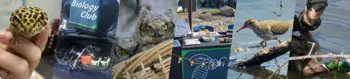 A collection of images related to biology