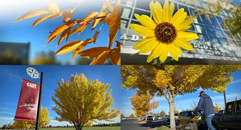 It is a beautiful day on campus.