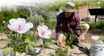 Dusty Perkins working in the Native Plant Garden at the Nampa Campus Academic Building.