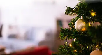 Christmas tree on campus