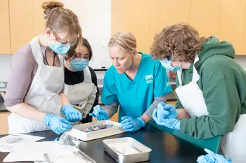 Students dissecting animal parts in classroom with instructor