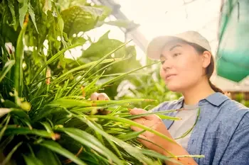 Student inspecting plants.