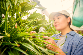 Student inspecting plants.