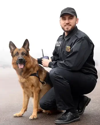 Police with police dog in foggy parking lot